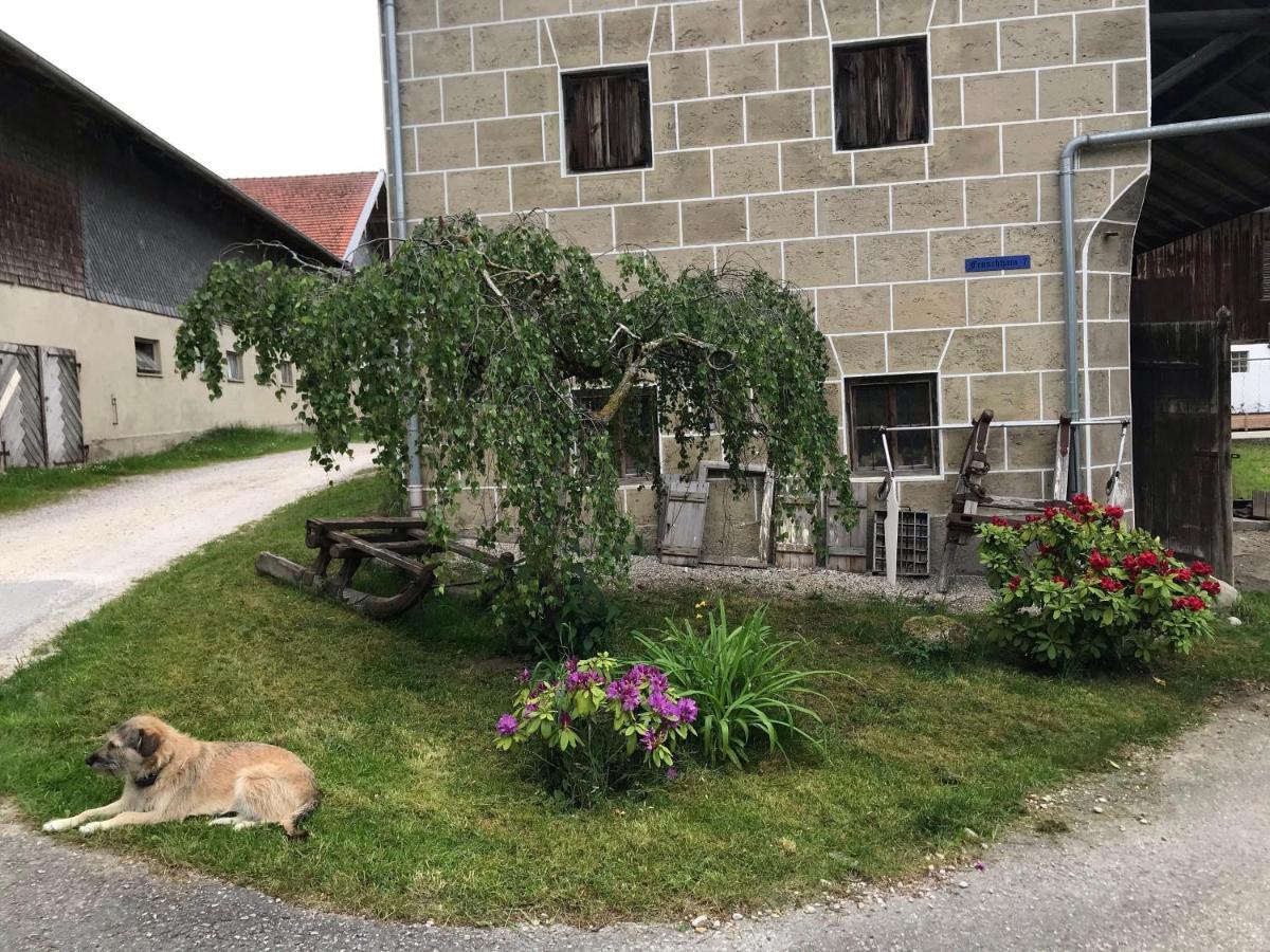 Pferdehof-Dietzsch Tittmoning ภายนอก รูปภาพ